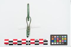Foto von Bronzegürtelring (NHMW-PRAE-023907)